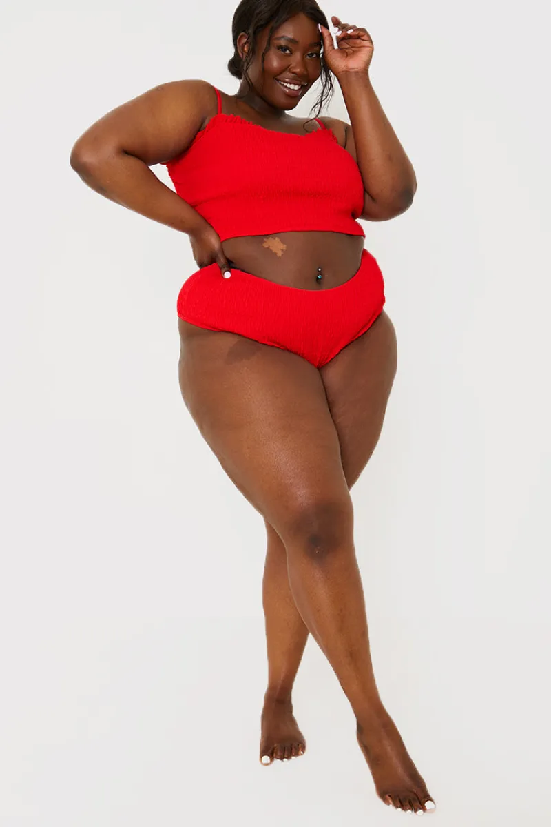 Crinkle High Waist Bikini Bottoms|In the Style New