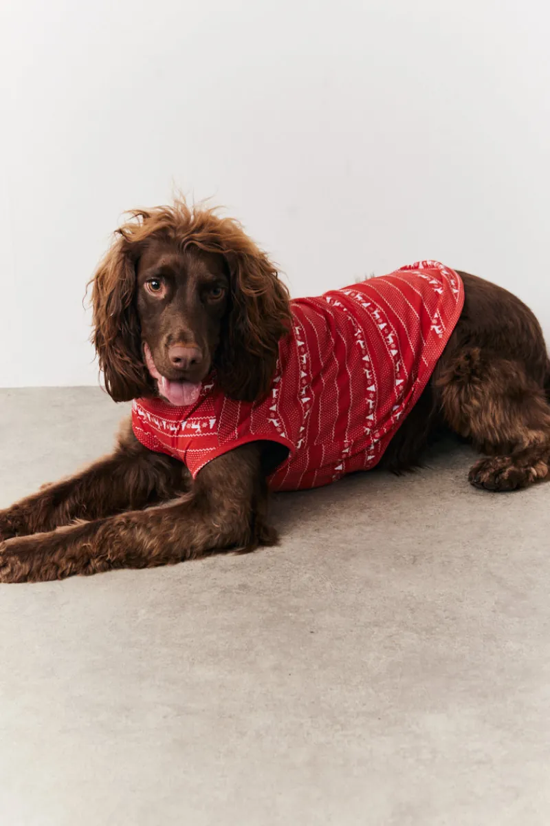 Dog Fairisle Print Pyjama|In the Style Best