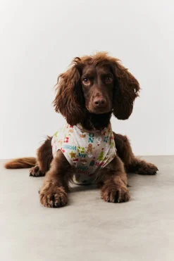 Dog Noel Print Pyjama|In the Style