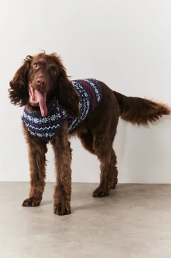 Dog Snowflake Print Pyjama|In the Style Hot