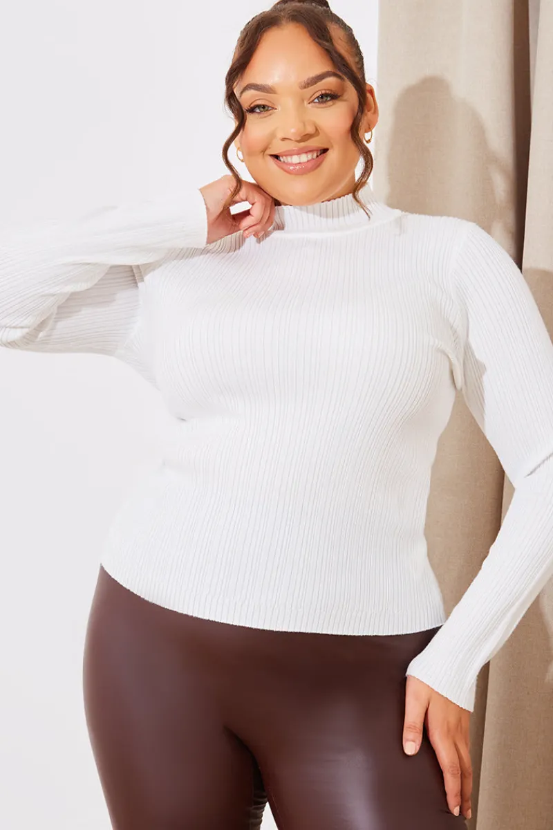 High Neck Variegated Rib Knit Top|In The Style Online