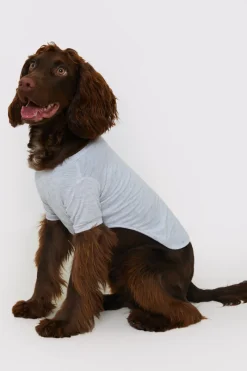Plain Jersey Dog PJ|In The Style Sale