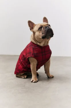 Checked Matching Dog Coat|In the Style New