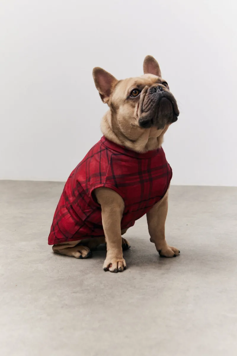 Checked Matching Dog Coat|In the Style New