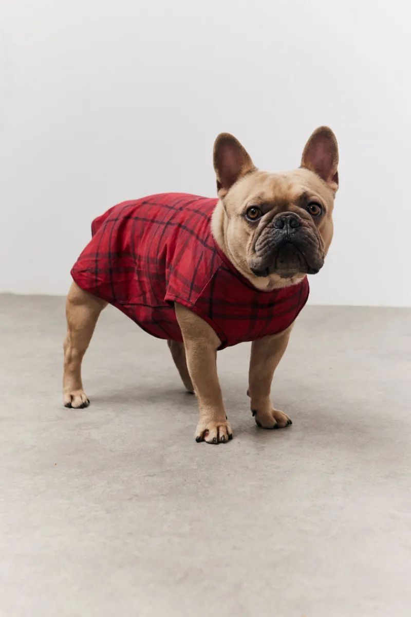 Checked Matching Dog Coat|In the Style New