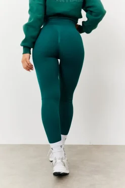Seamless High Waist Bum Boosting Leggings|Fits Hot