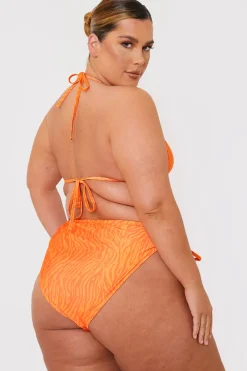 Zebra Print Bikini Bottoms|In the Style Best